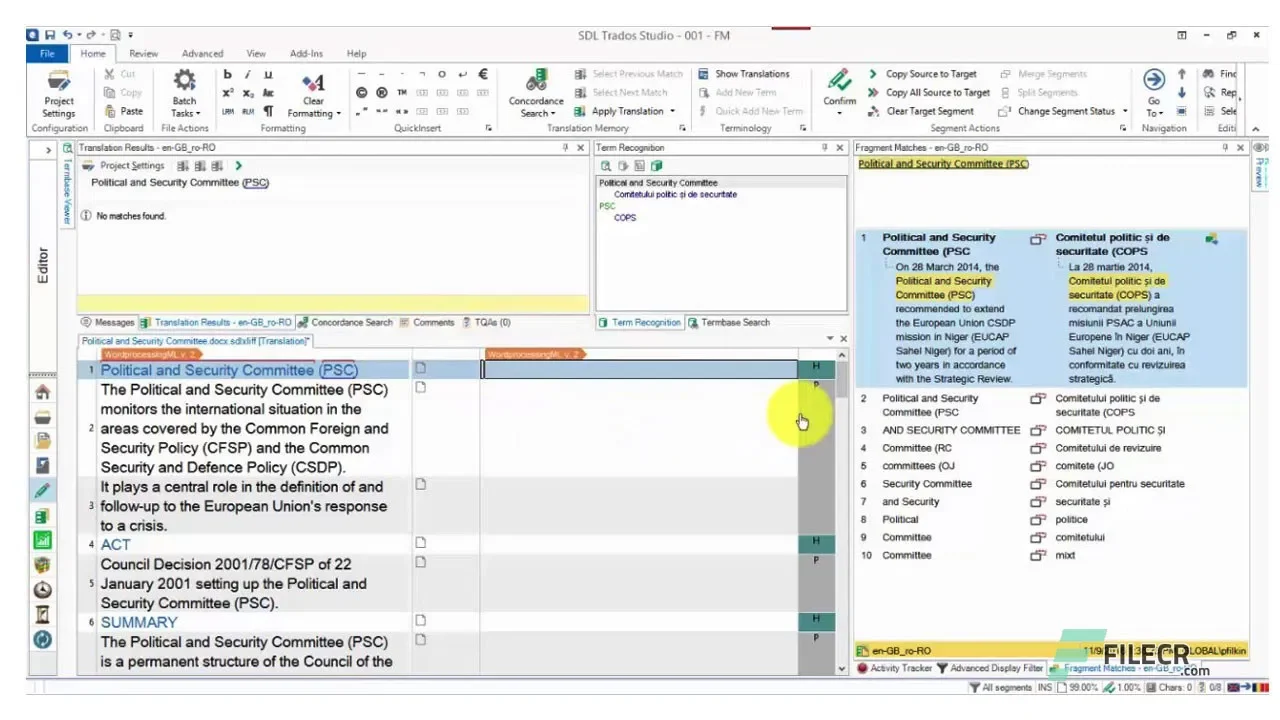 Screenshot of a Trados Studio 2021 Interface